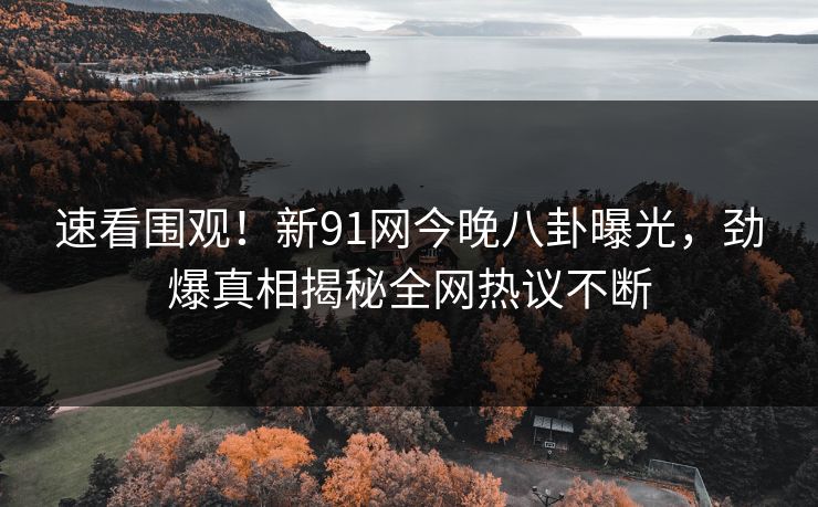 速看围观!新91网今晚八卦曝光,劲爆真相揭秘全网热议不断