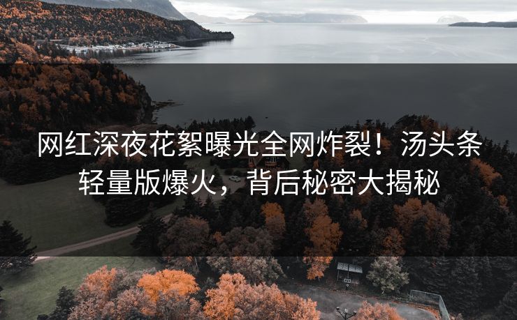 网红深夜花絮曝光全网炸裂！汤头条轻量版爆火，背后秘密大揭秘