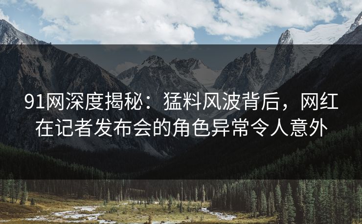 91网深度揭秘：猛料风波背后，网红在记者发布会的角色异常令人意外